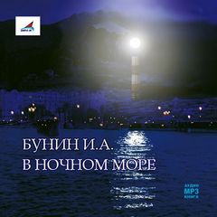 Аудиокнига В ночном море