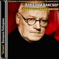 Штрихи к политическому портрету Вышинского - Аркадий Ваксберг