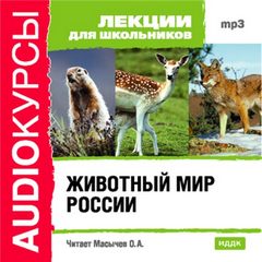 Животный мир России - Анатолий Михайлов